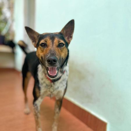 Appartamento Baba Luru'S Varkala Esterno foto