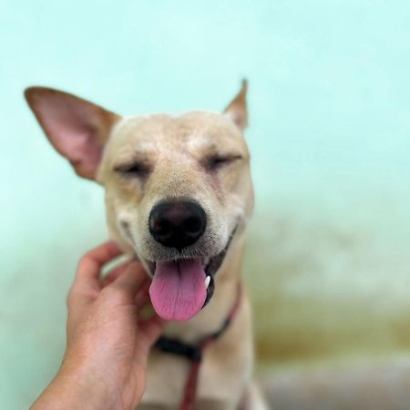 Appartamento Baba Luru'S Varkala Esterno foto