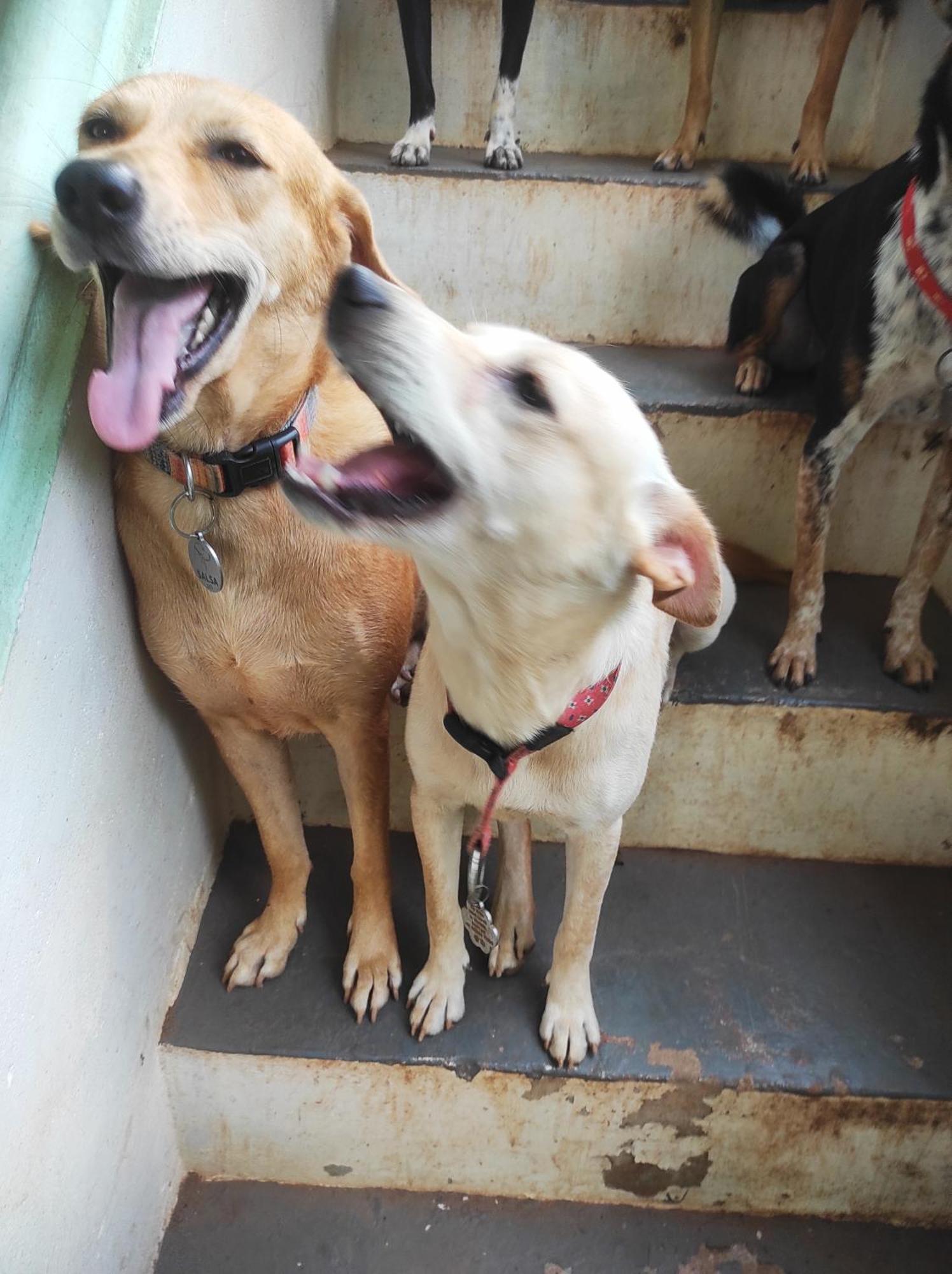 Appartamento Baba Luru'S Varkala Esterno foto