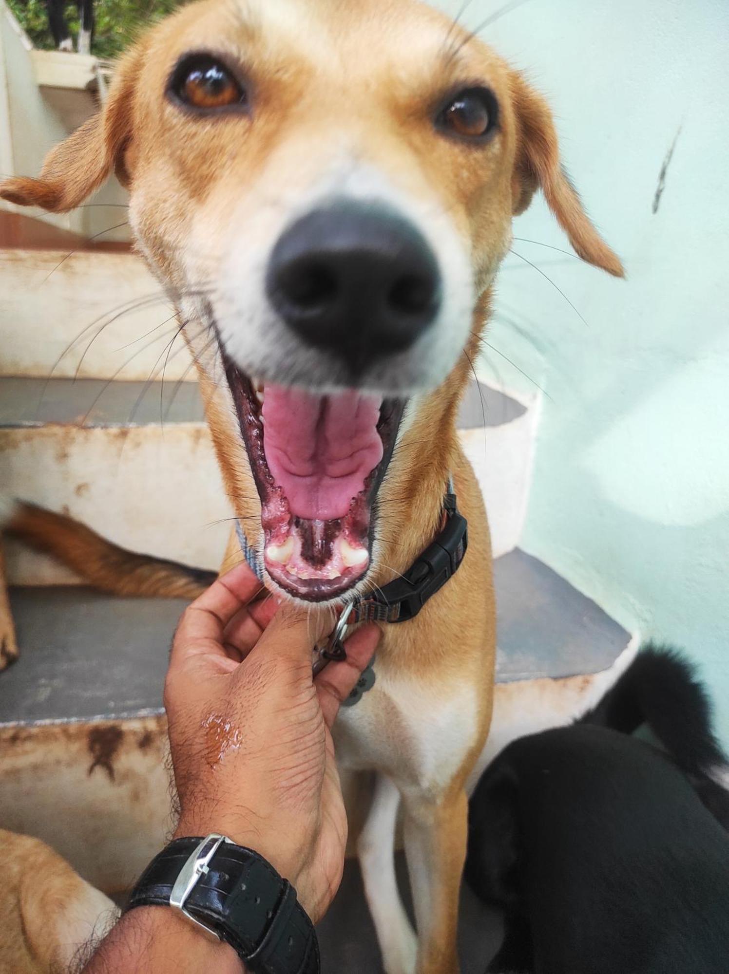 Appartamento Baba Luru'S Varkala Esterno foto