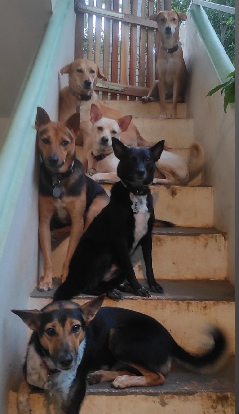 Appartamento Baba Luru'S Varkala Esterno foto